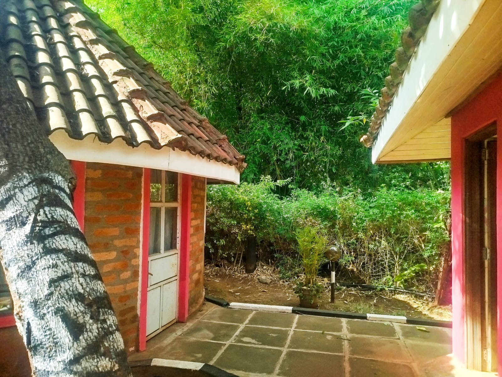 renting--Contemporary_house_Address-Karen__Nairobi__Kenya_price-1200000_Beds-34_Baths-30-167-2