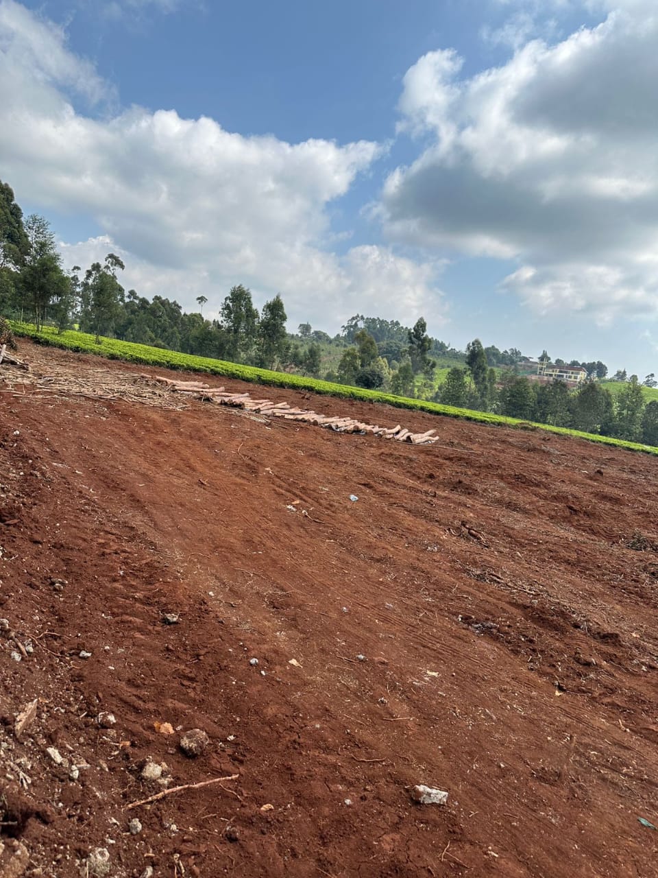 land-for-sale-Address-Tigoni__Kenya_price-23000000-2-2