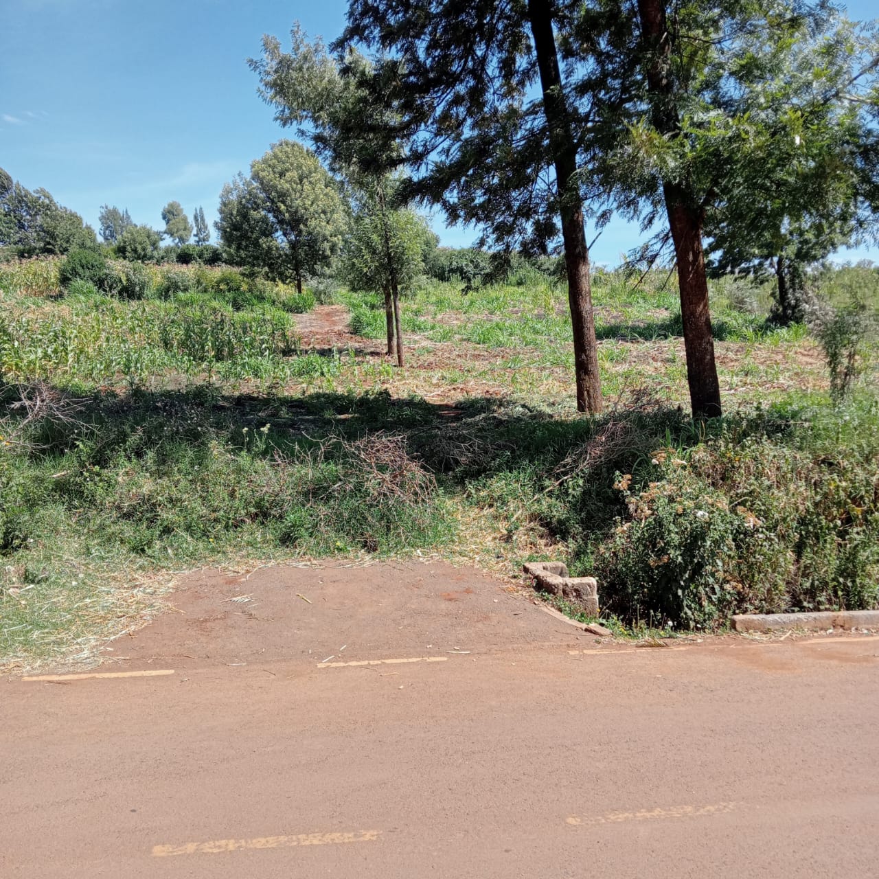 land-for-sale-Address-Limuru_Town___Kenya_price-12000000-1-0