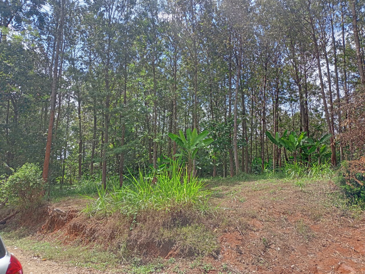 land-for-sale-Address-Meru__Kenya_price-6000000-16-0