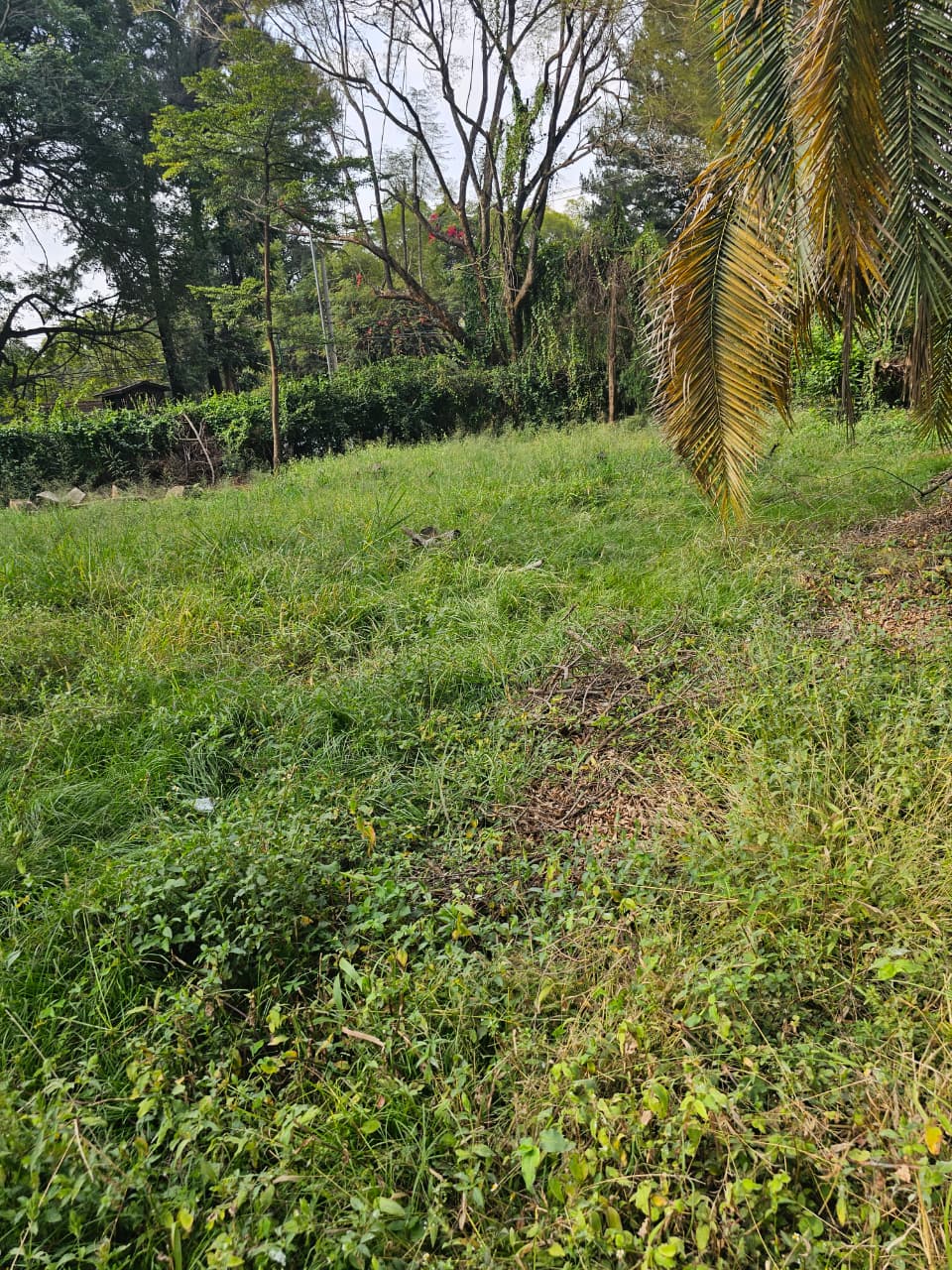 land-for-sale-Address-Kilimani_Estate__Nairobi__Kenya_price-270000000-13-0