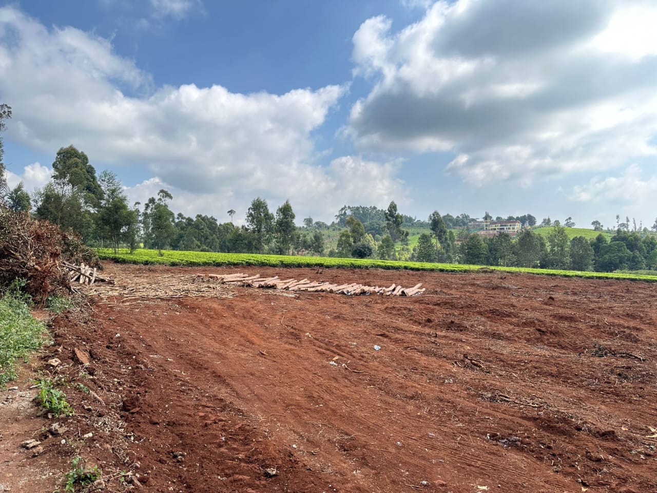 land-for-sale-Address-Tigoni__Kenya_price-23000000-2-3