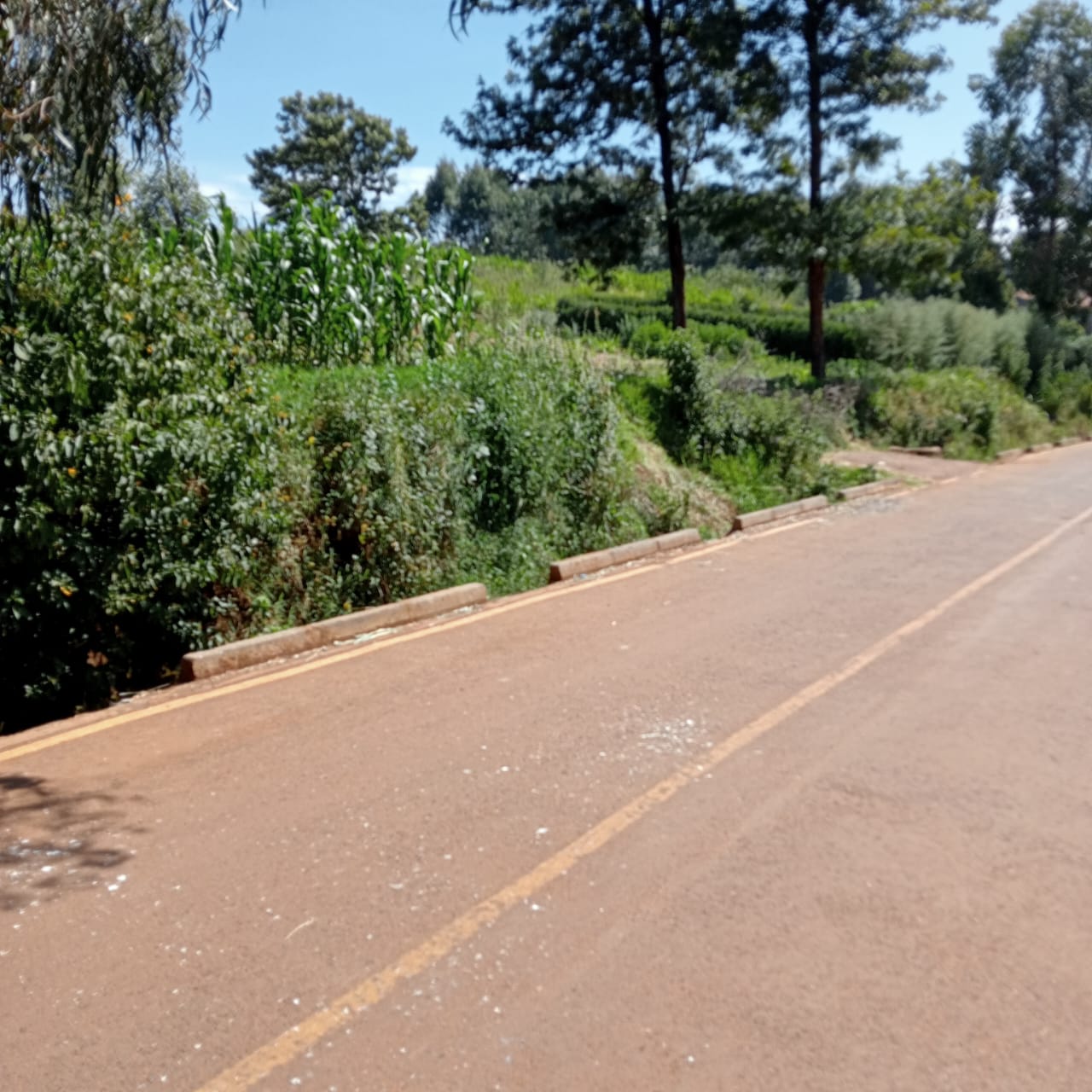 land-for-sale-Address-Limuru_Town___Kenya_price-12000000-1-1