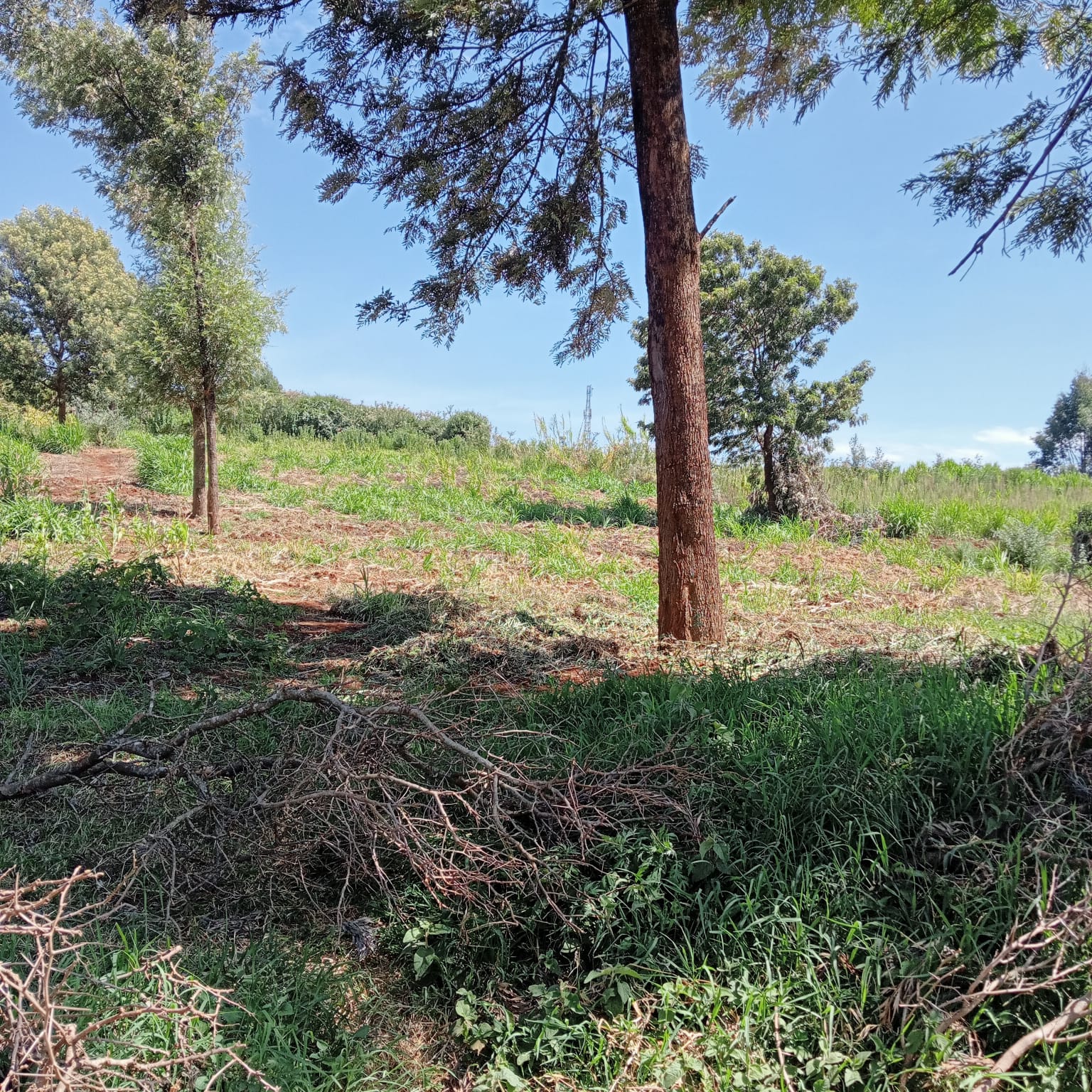 land-for-sale-Address-Limuru_Town___Kenya_price-12000000-1-3