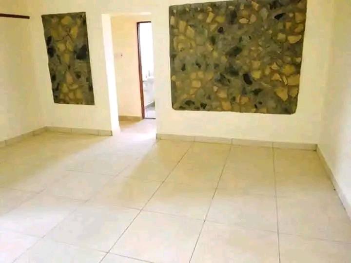 renting--Apartment_Address-Naivasha_Rd__Nairobi__Kenya_price-25000_Beds-1_Baths-1-83-1