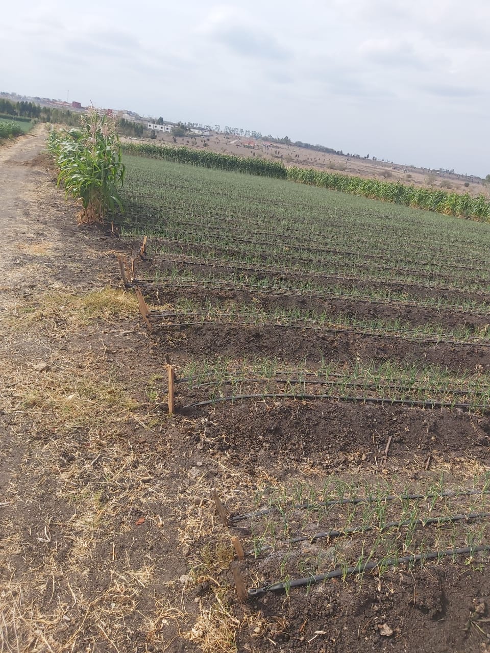 land-for-sale-Address-Kisaju__Kenya_price-150000000-6-1