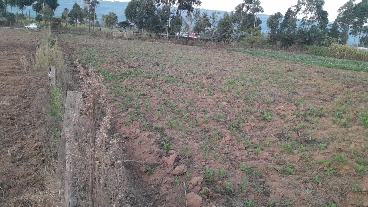 Land for Sale in Naivasha