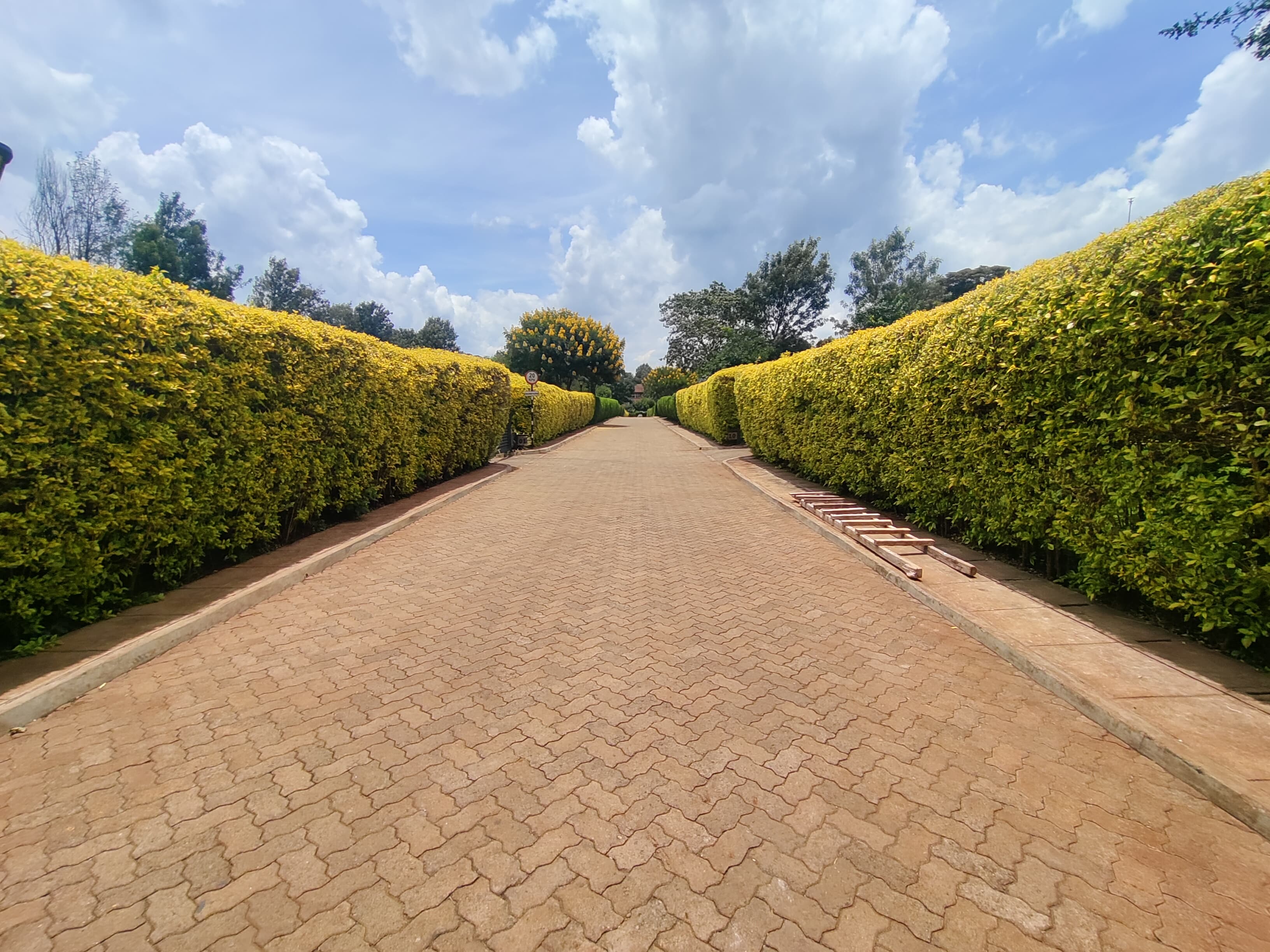 house-on-sale-4_Bedroom_plus_DSQ_Villa_for_sale_in_Karen_Kes_85M-Villa_Address-Karen__Nairobi__Kenya_price-85000000_Beds-4_Baths-5110_22-5