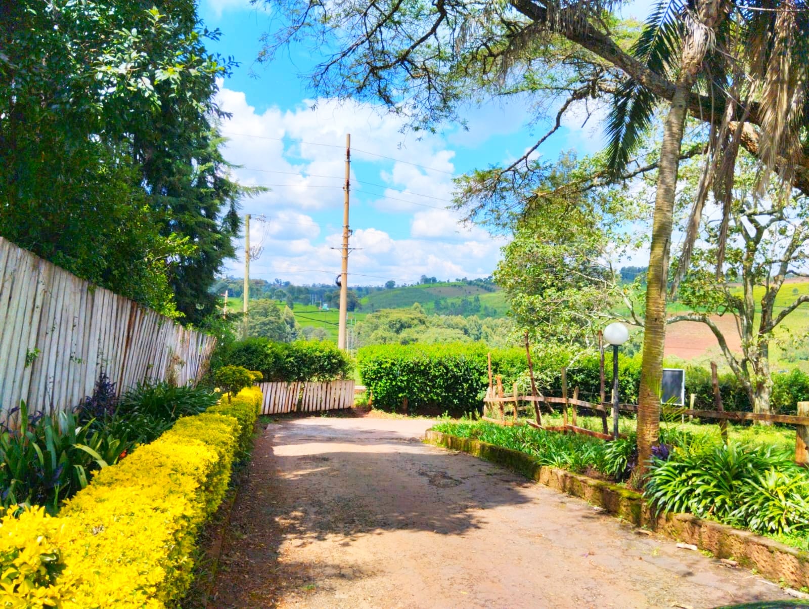 renting--Bungalow_Address-Red_Hill_Dr__Nairobi__Kenya_price-200000_Beds-4_Baths-3-131-10