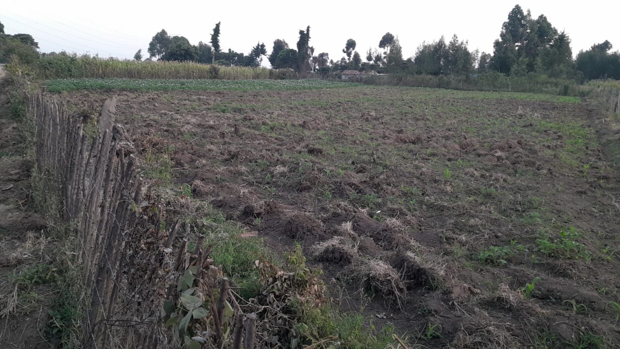 land-for-sale-Address-7GF2_6H_Naivasha__Kenya_price-1300000-9-1