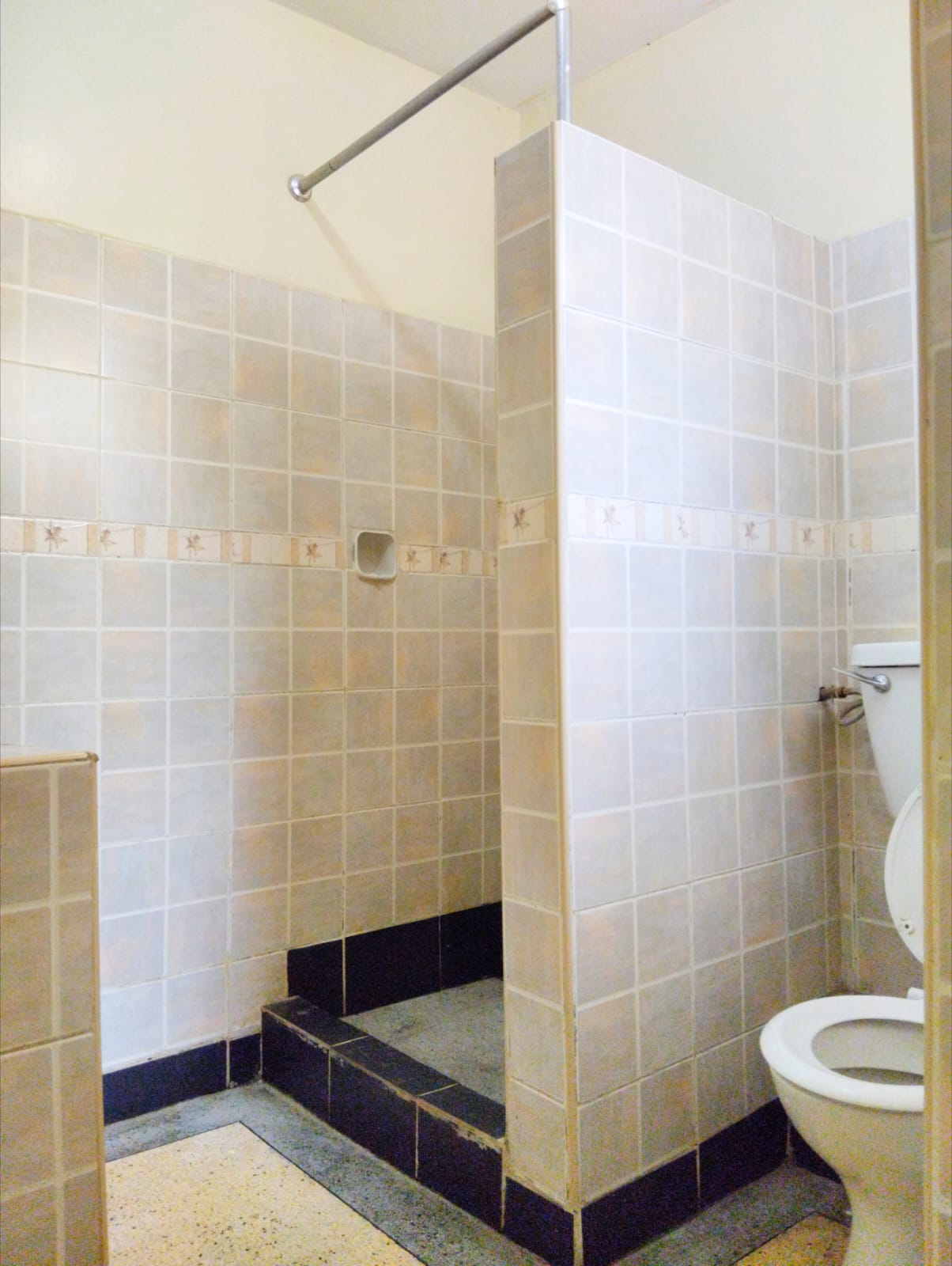 renting--Apartment_Address-State_House_Rd__Nairobi__Kenya_price-100000_Beds-2_Baths-2-158-6